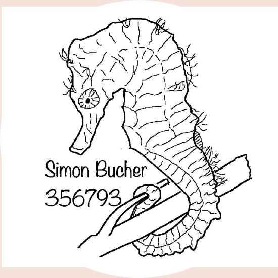 Timbro aziendale Svizzera