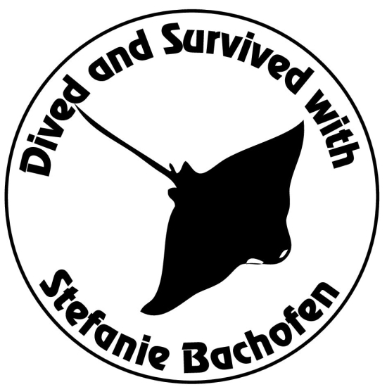 Crea il tuo timbro nuziale personale