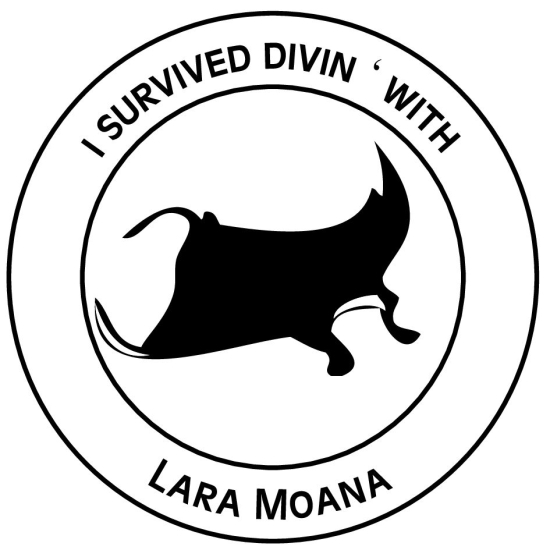 Timbri dell''indirizzo senza cornice