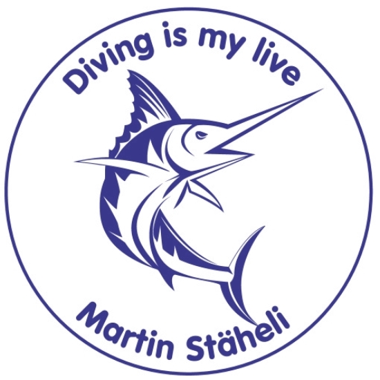 Timbri dell''indirizzo con cornice